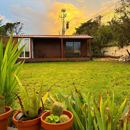 Apartamento Wood House *